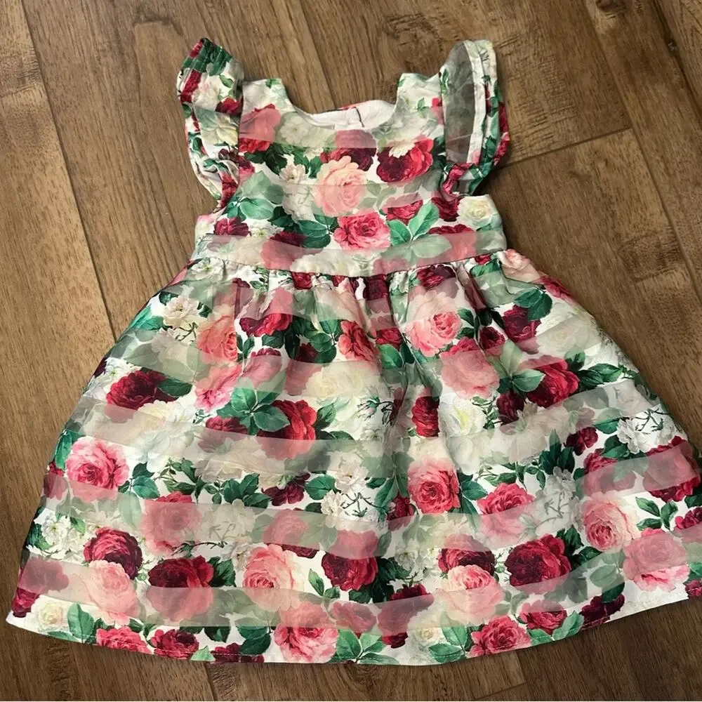 Pastourelle Pippa & Julie Floral Organza Dress w/ Bloomers, Flutter Sleeve, 24m